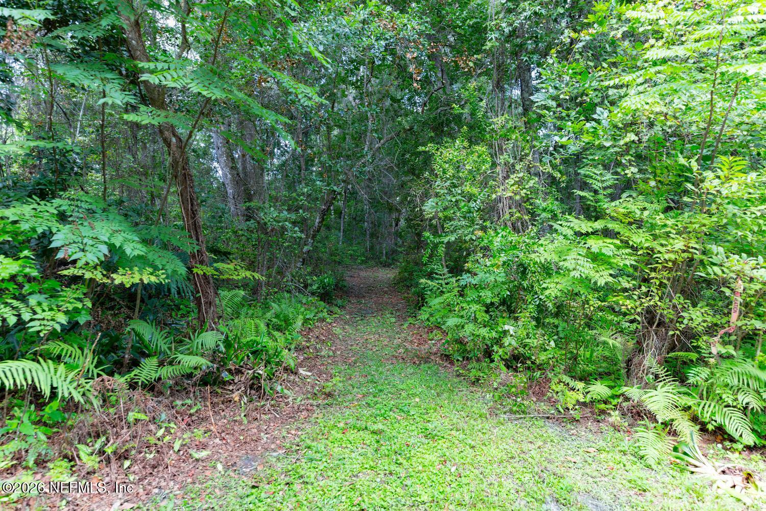 1345 FRUIT COVE Road N, St. Johns