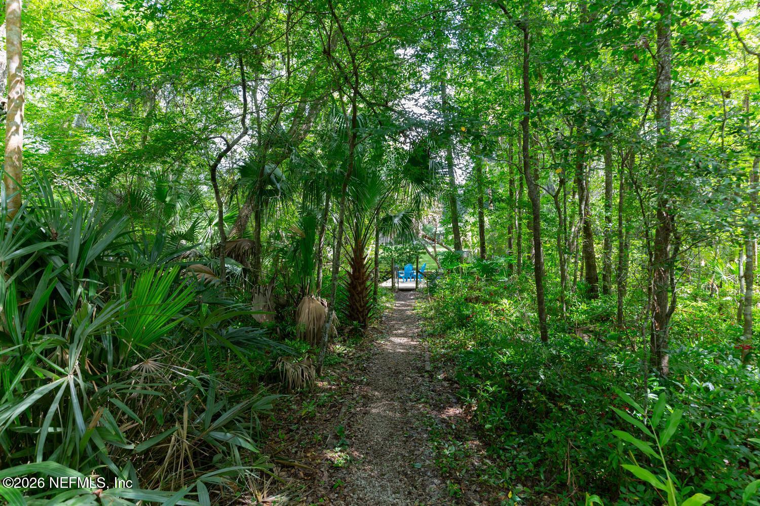 1345 FRUIT COVE Road N, St. Johns
