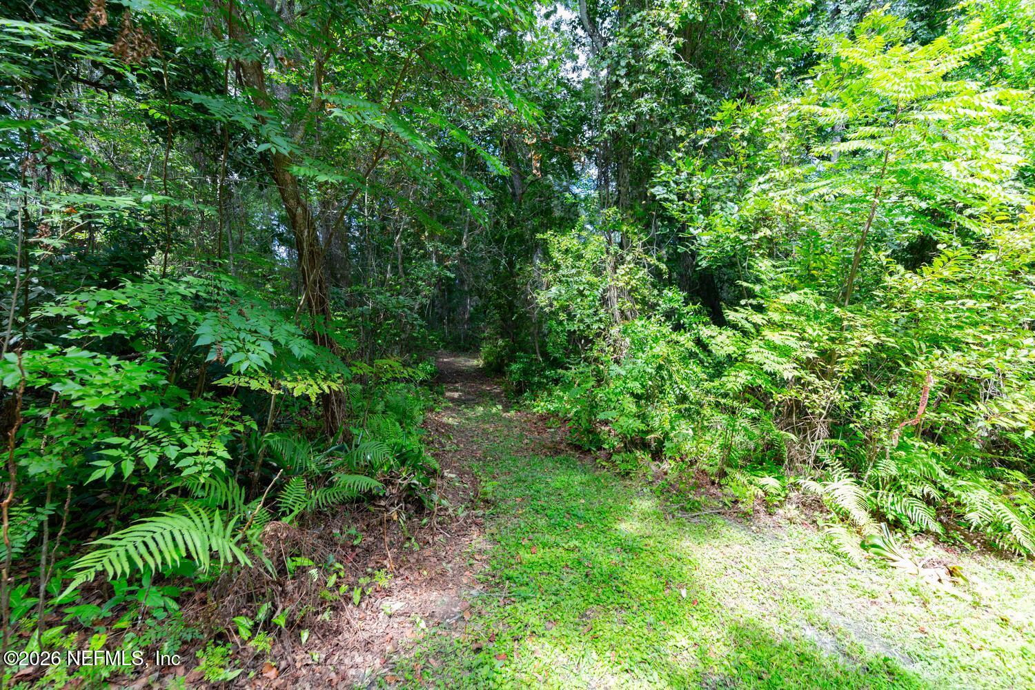 0050100000 FRUIT COVE ROAD N, St. Johns
