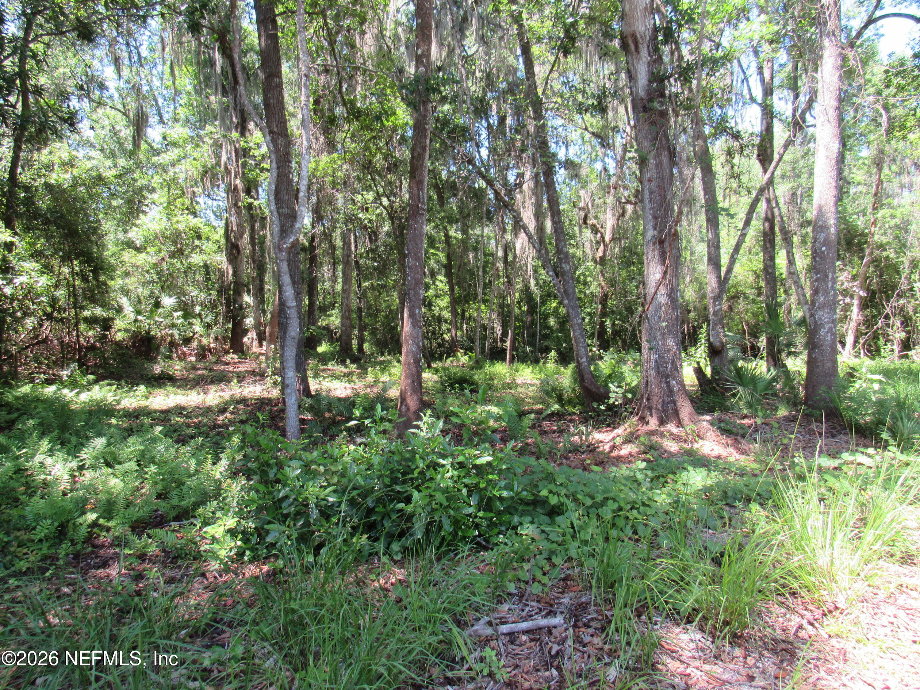 451 COUNTY ROAD 13 S, St. Augustine