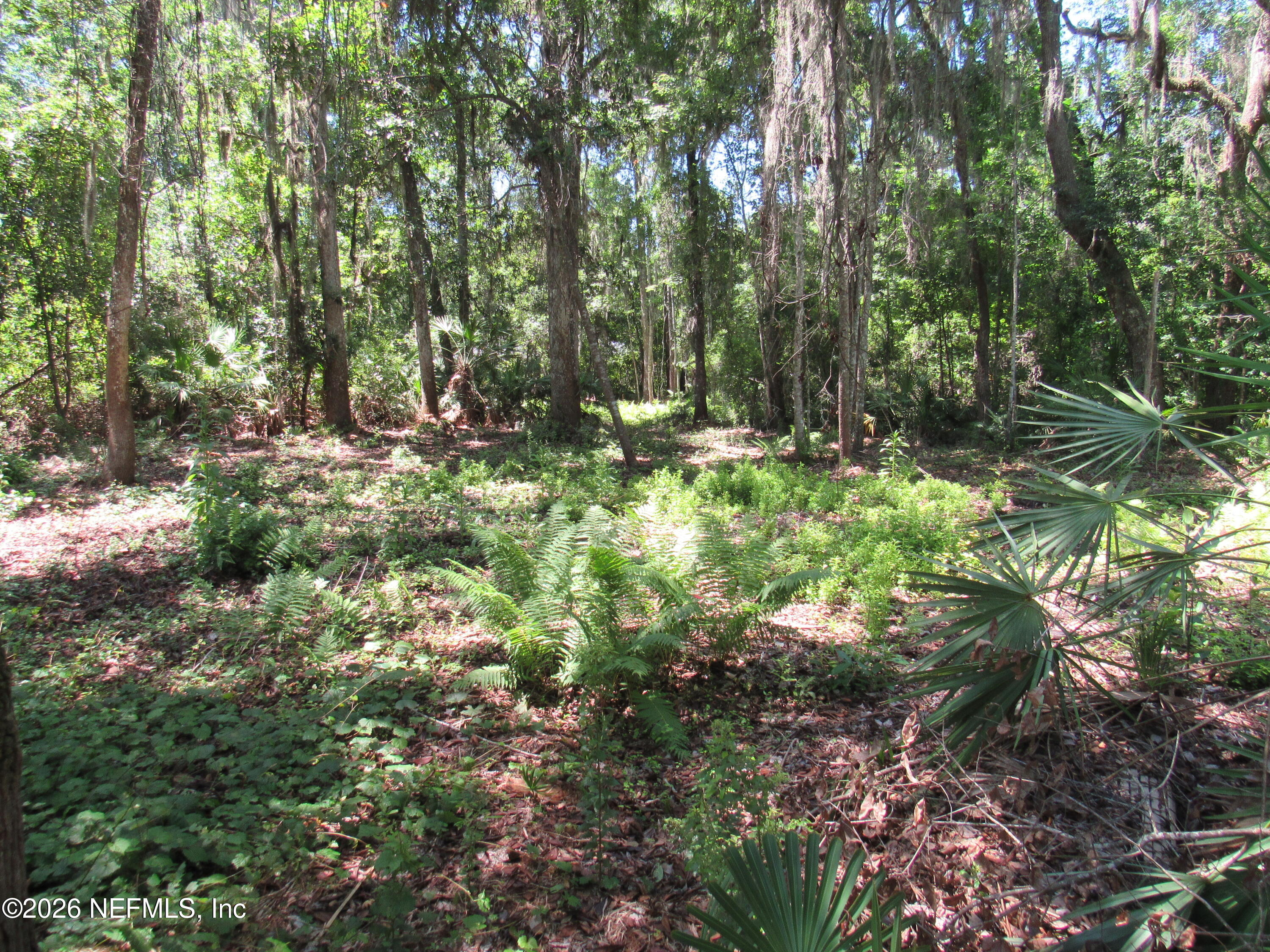 451 COUNTY ROAD 13 S, St. Augustine