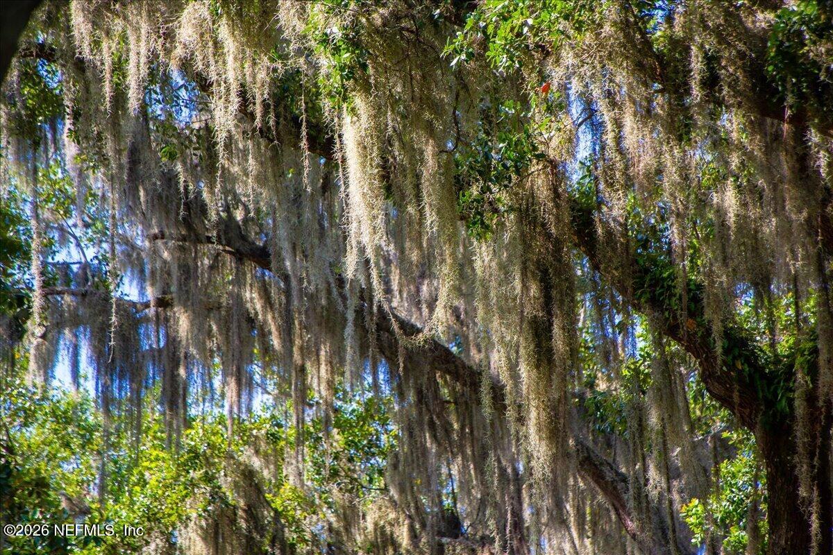 4575 WOLFE Road, St. Augustine