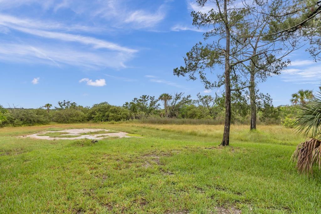 115 Fiddler Crab Lane