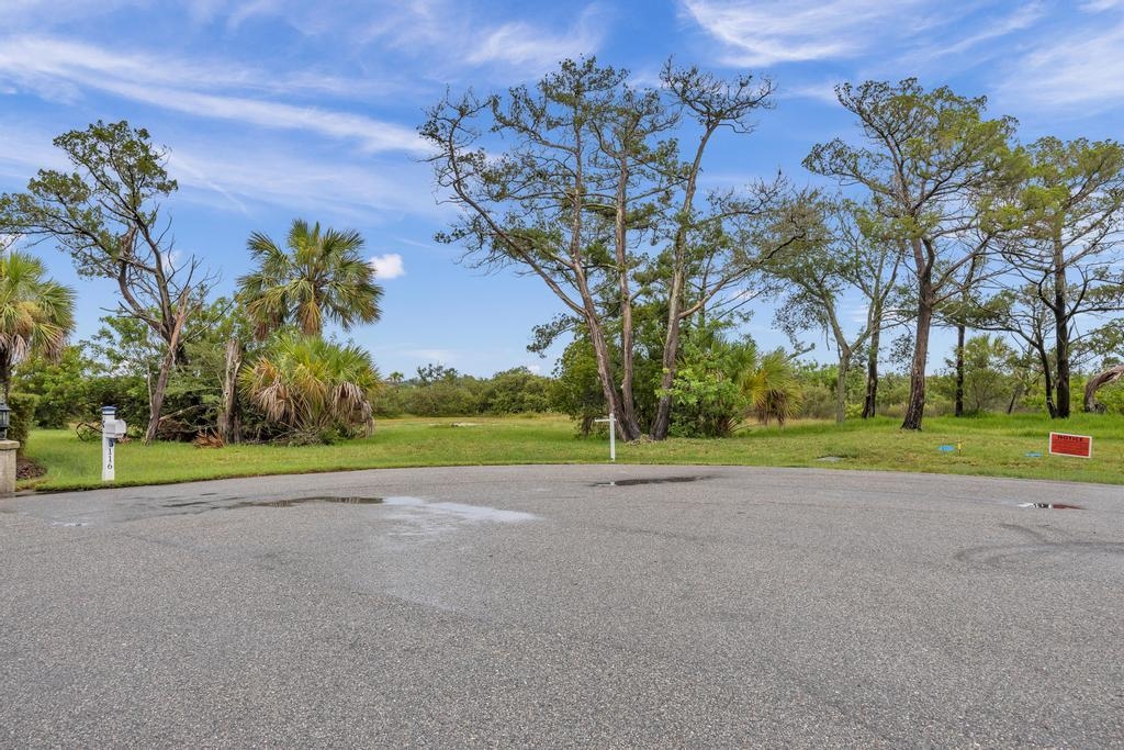 115 Fiddler Crab Lane