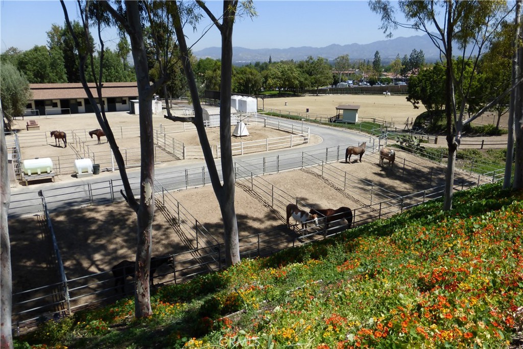 4025 Calle Sonora Este 1E