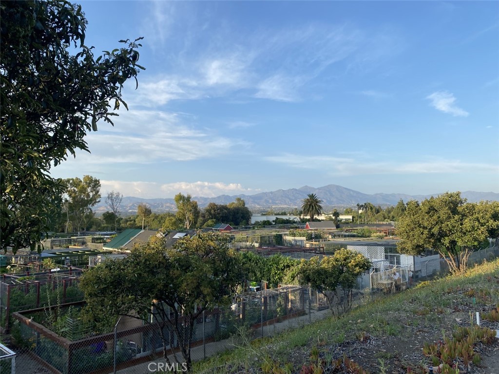 3200 Via Buena Vista C