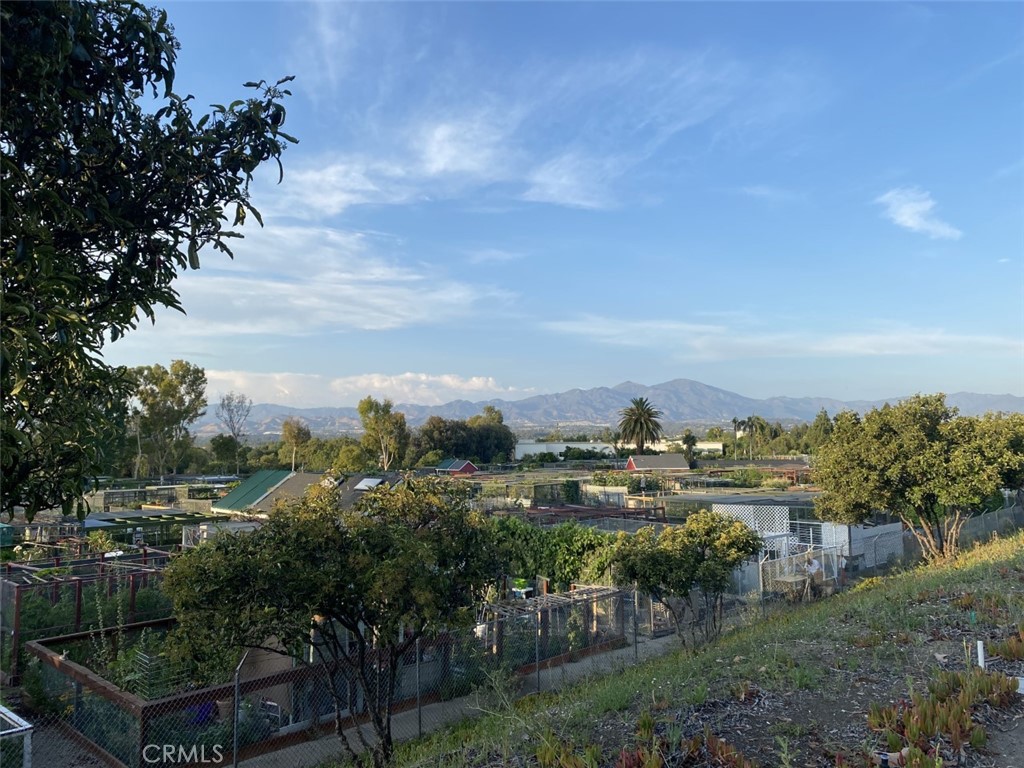 479 Calle Cadiz A