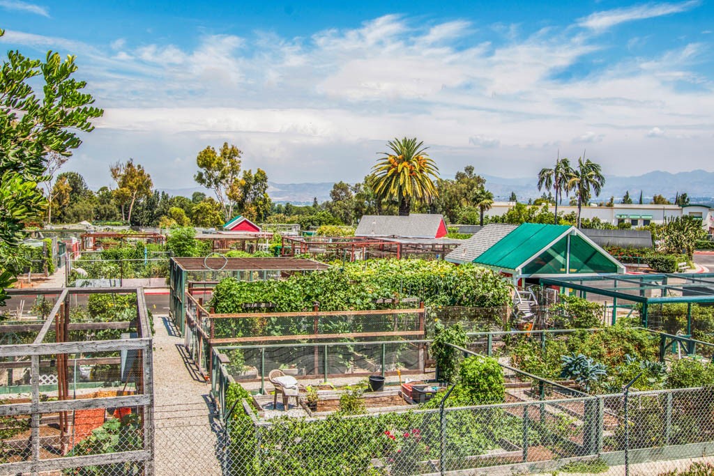 2173 Via Mariposa East T