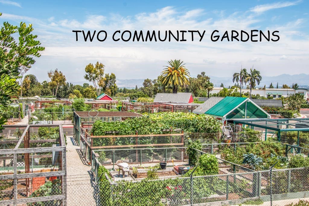 2348 Via Mariposa West B