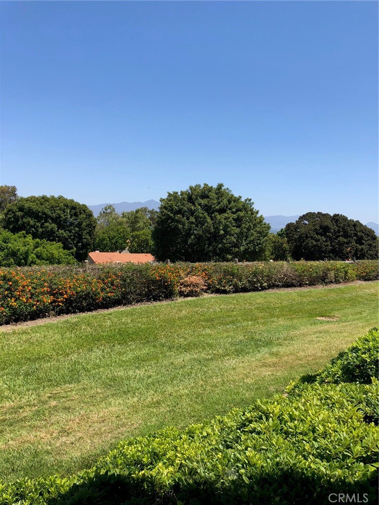 4025 Calle Sonora Este 1E