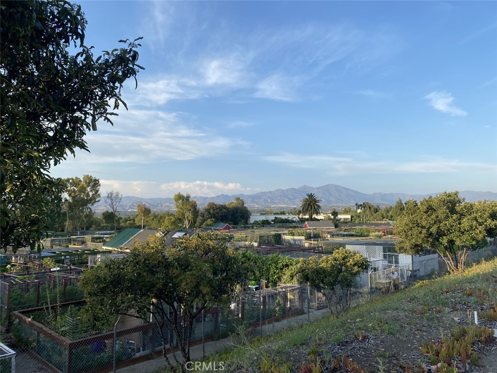 3021 Via Buena Vista O