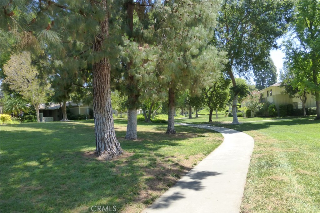 3254 San Amadeo C