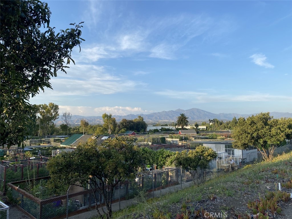 3242 San Amadeo 3F