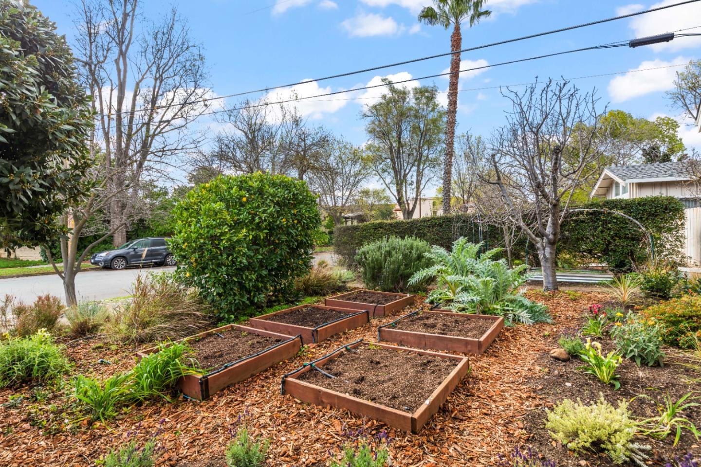 2429 De Soto DR