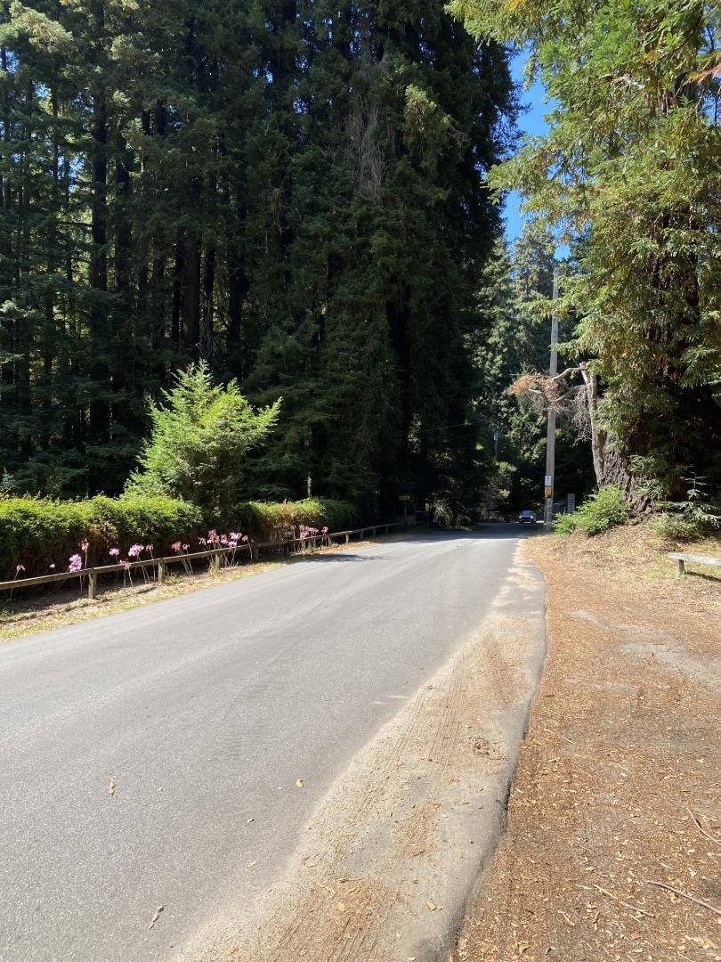 0 0 Redwood