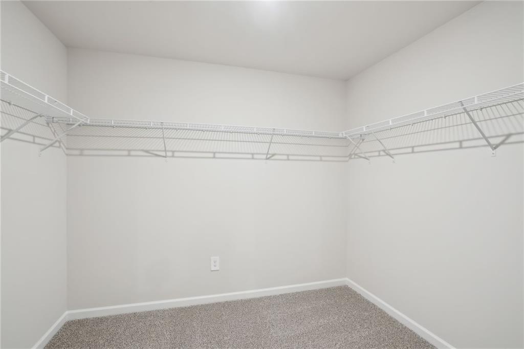 1220 Firefly Field Trace