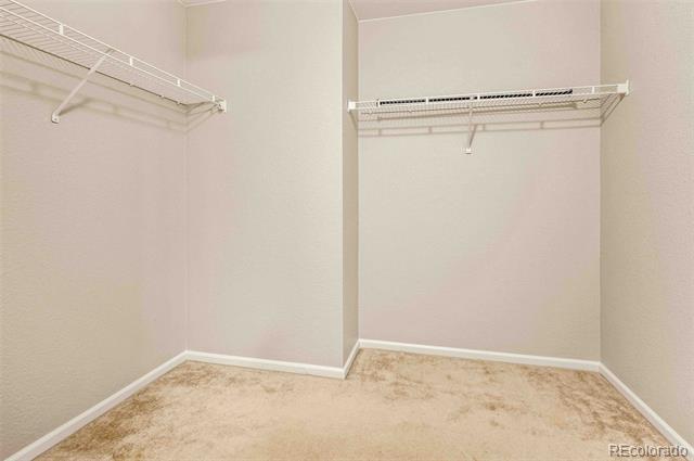 Empty walk-in closet with beige carpet and white wire shelving on two walls.