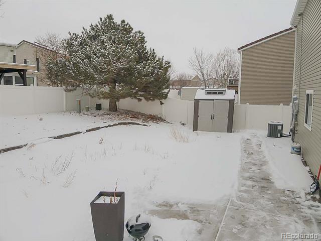 Snow-covered fenced backyard with a large evergreen tree, storage shed, and cleared walkway.