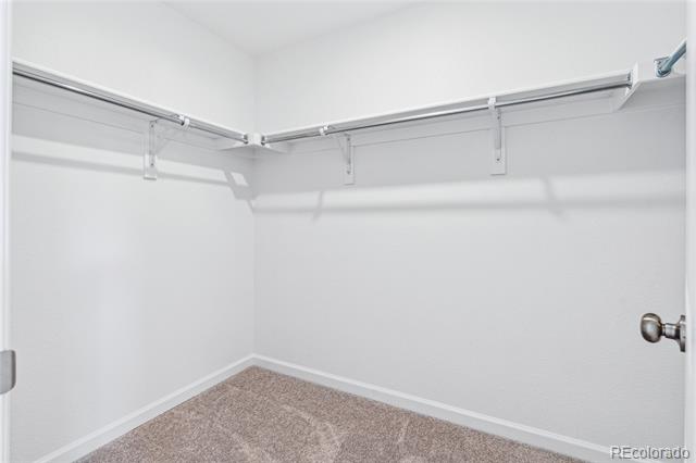 1217 Prospect Aly