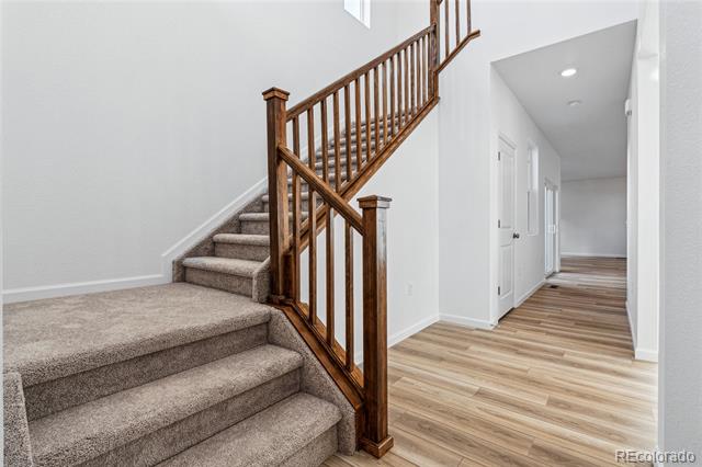 1217 Prospect Aly