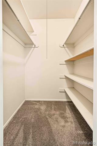 Empty walk-in closet with built-in shelves, hanging rods, and brown carpet.