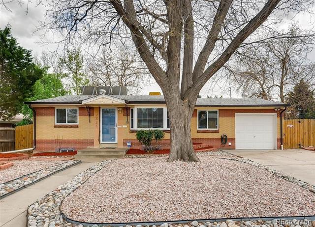 Single-story brick ranch home with a large leafless tree in its gravel front yard.