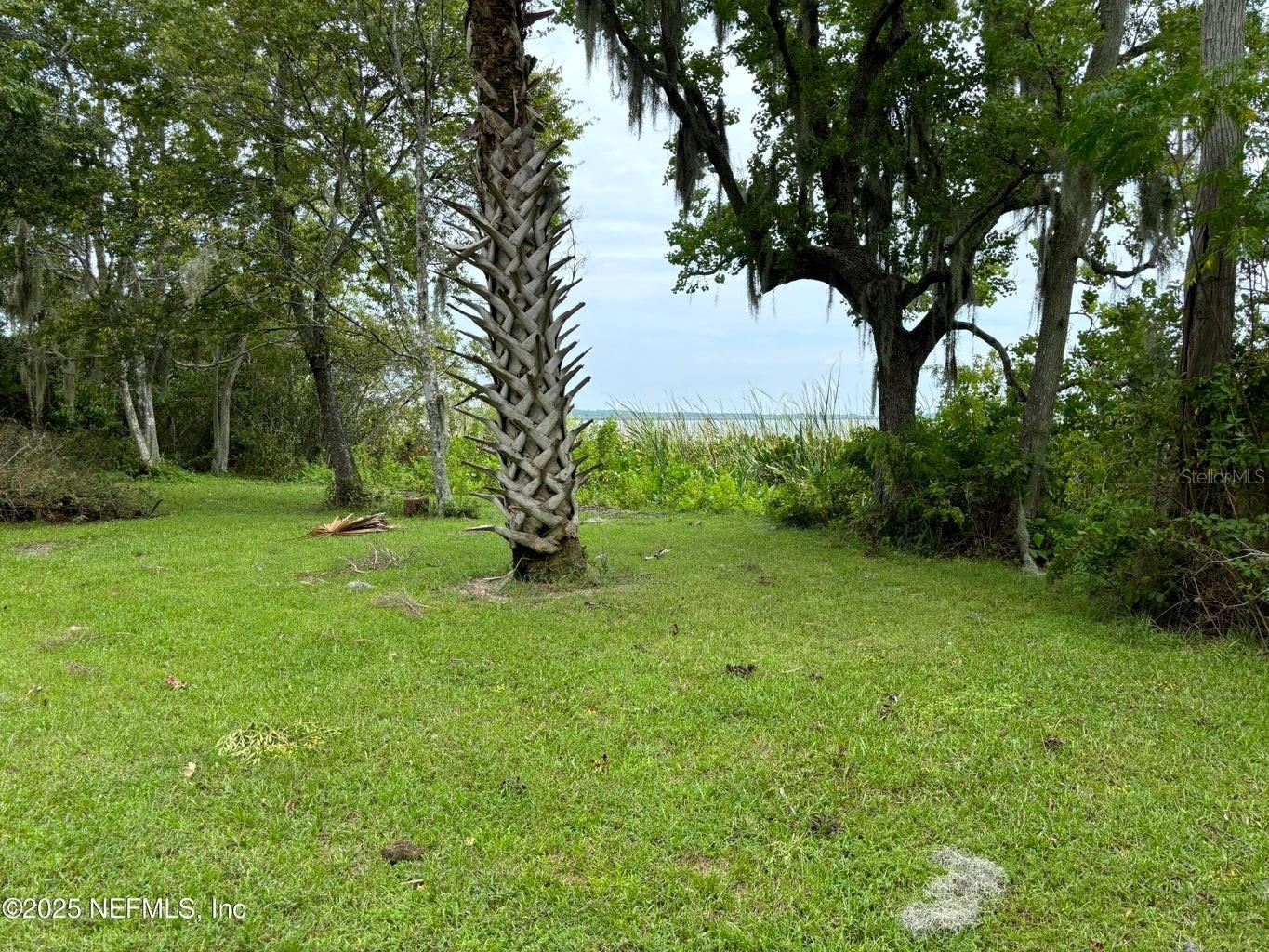 6001 BIRD ISLAND DR