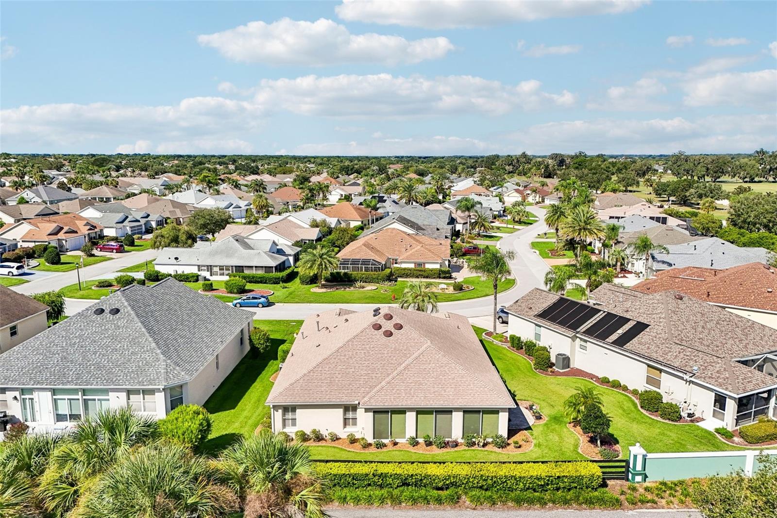 1664 DUFFY LOOP