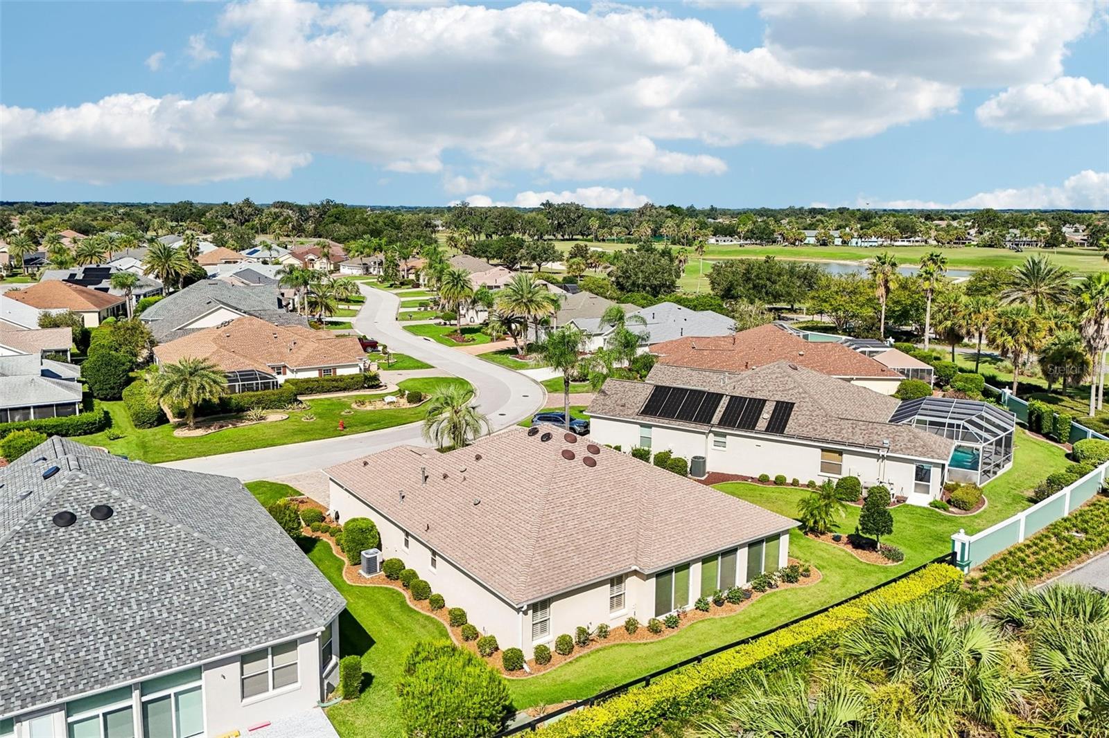 1664 DUFFY LOOP