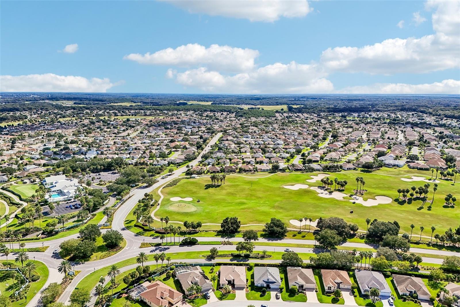1664 DUFFY LOOP