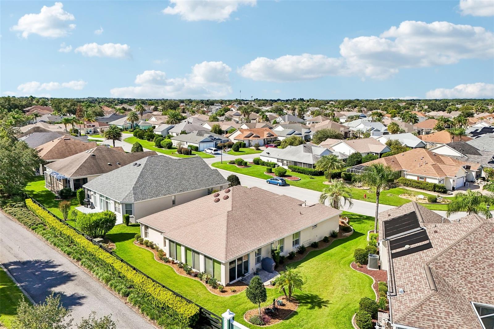 1664 DUFFY LOOP
