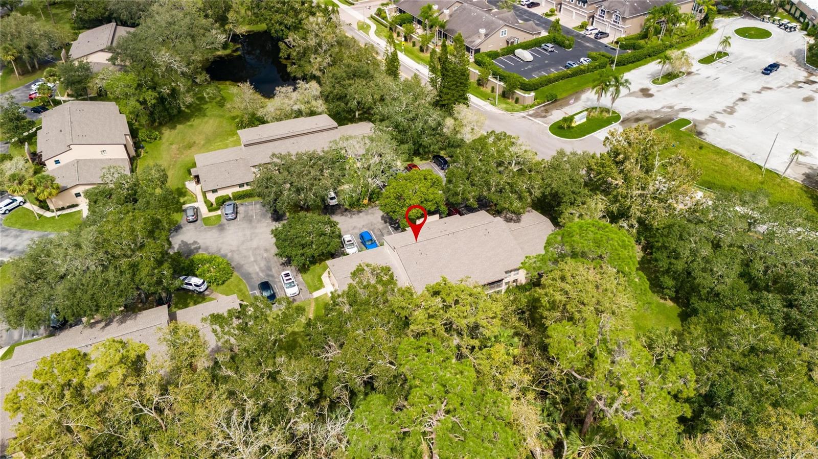 1400 TARPON WOODS BLVD #B5