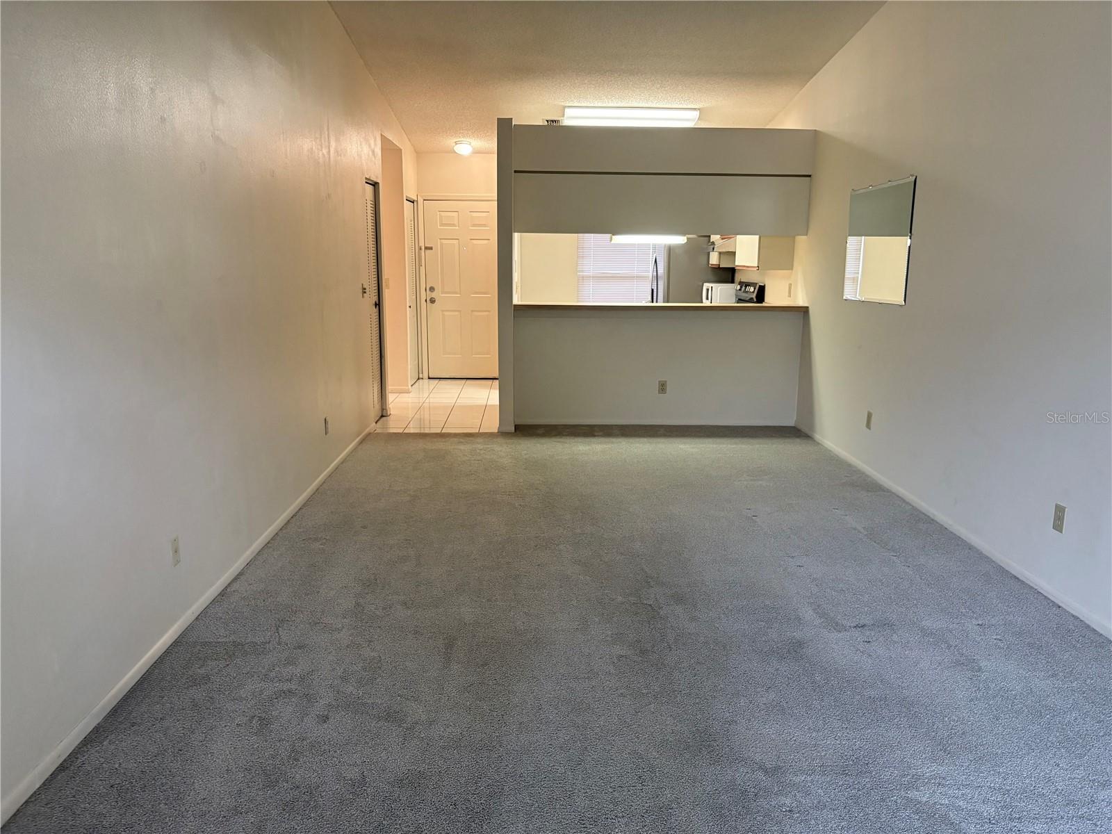 1311 POWDERPUFF DR #1003