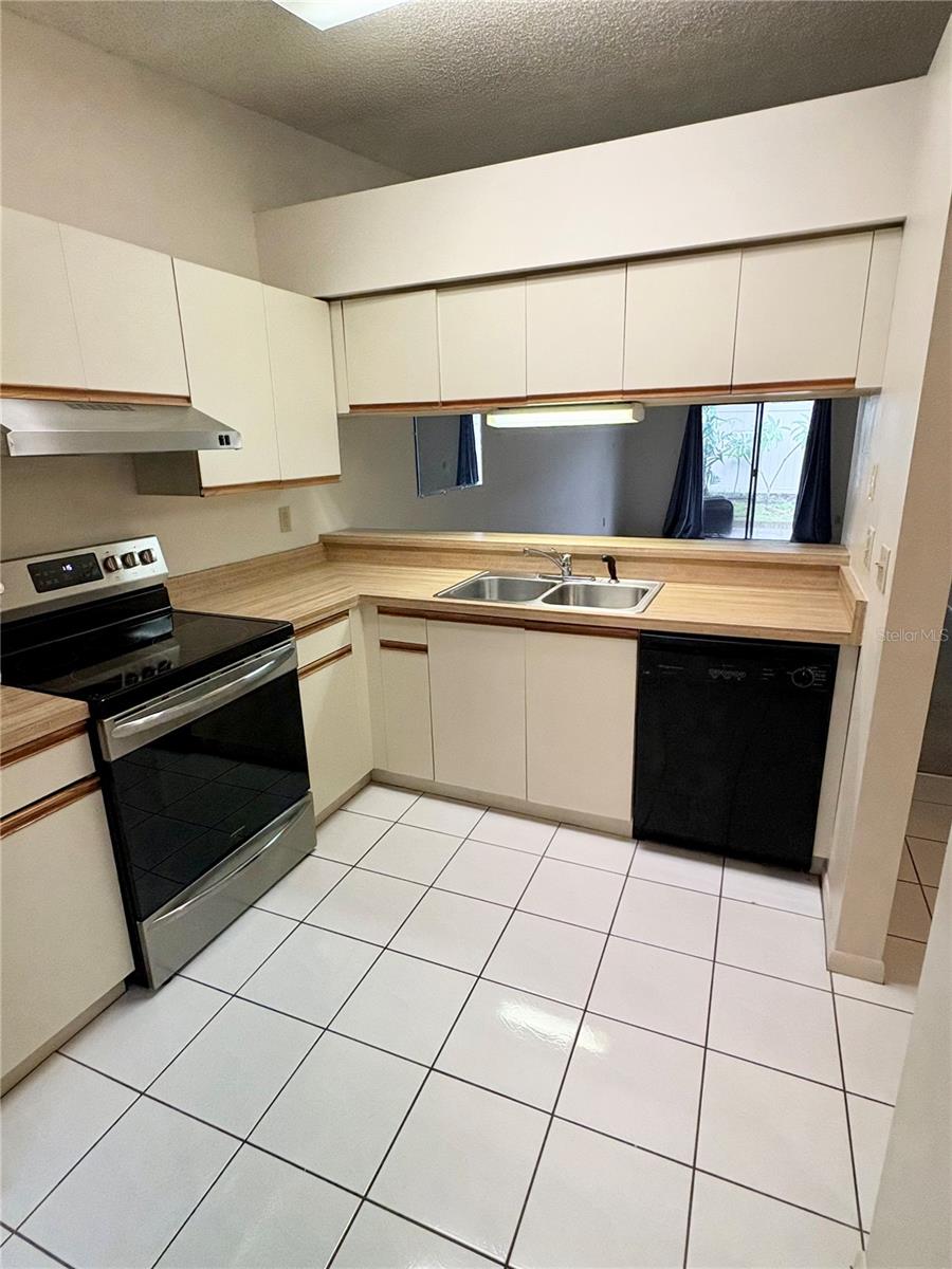 1311 POWDERPUFF DR #1003