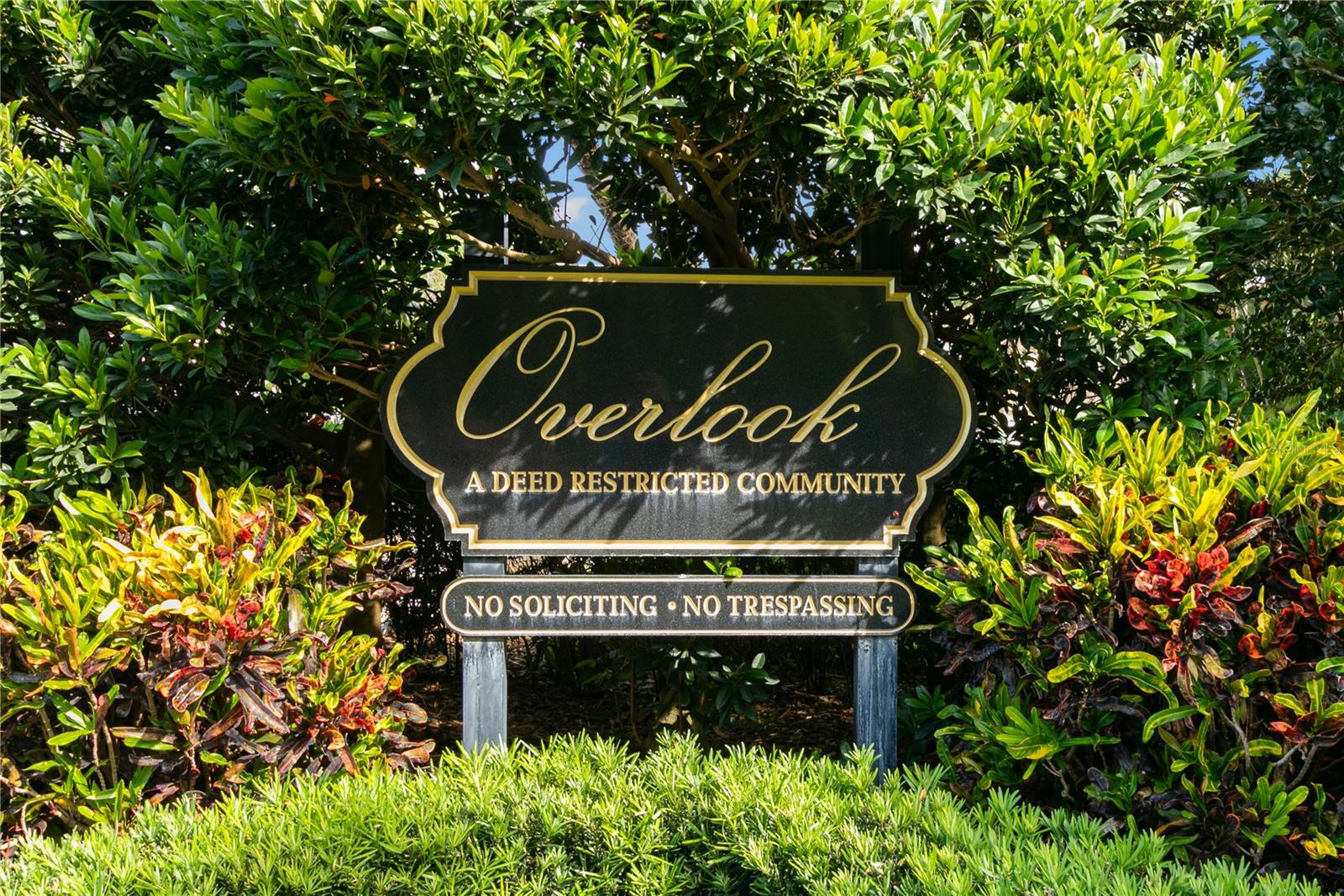 3079 BRANCH DR