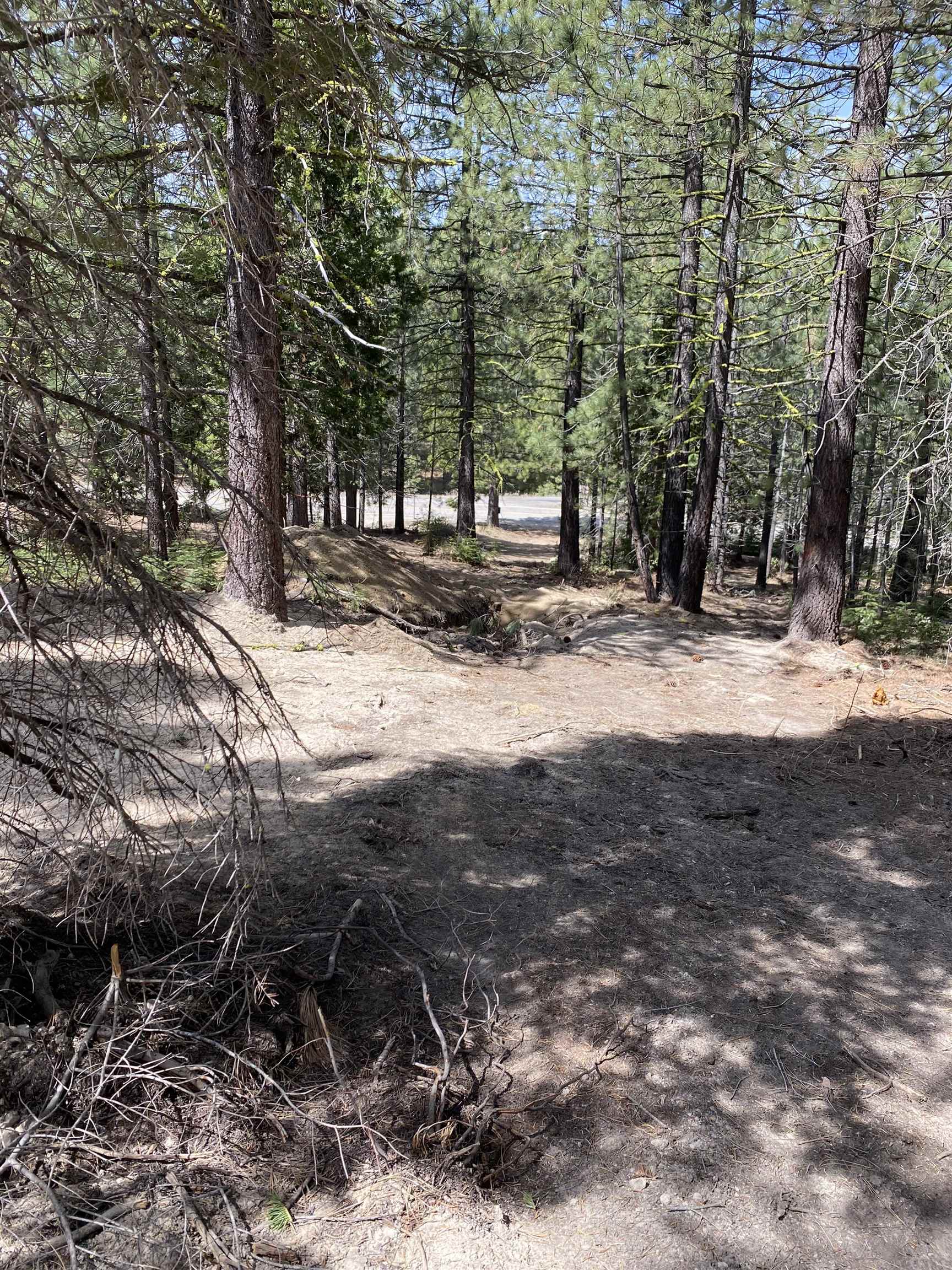 6018 Lake Davis Road