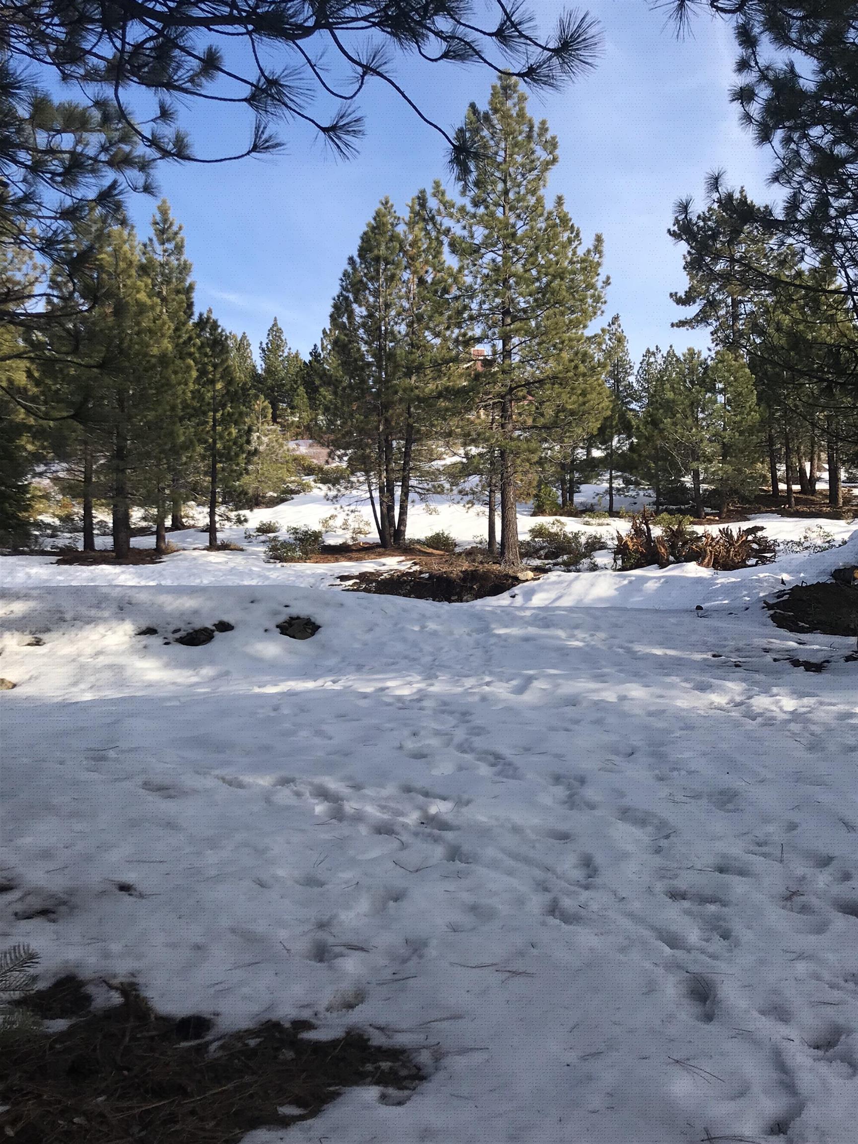 6018 Lake Davis Road