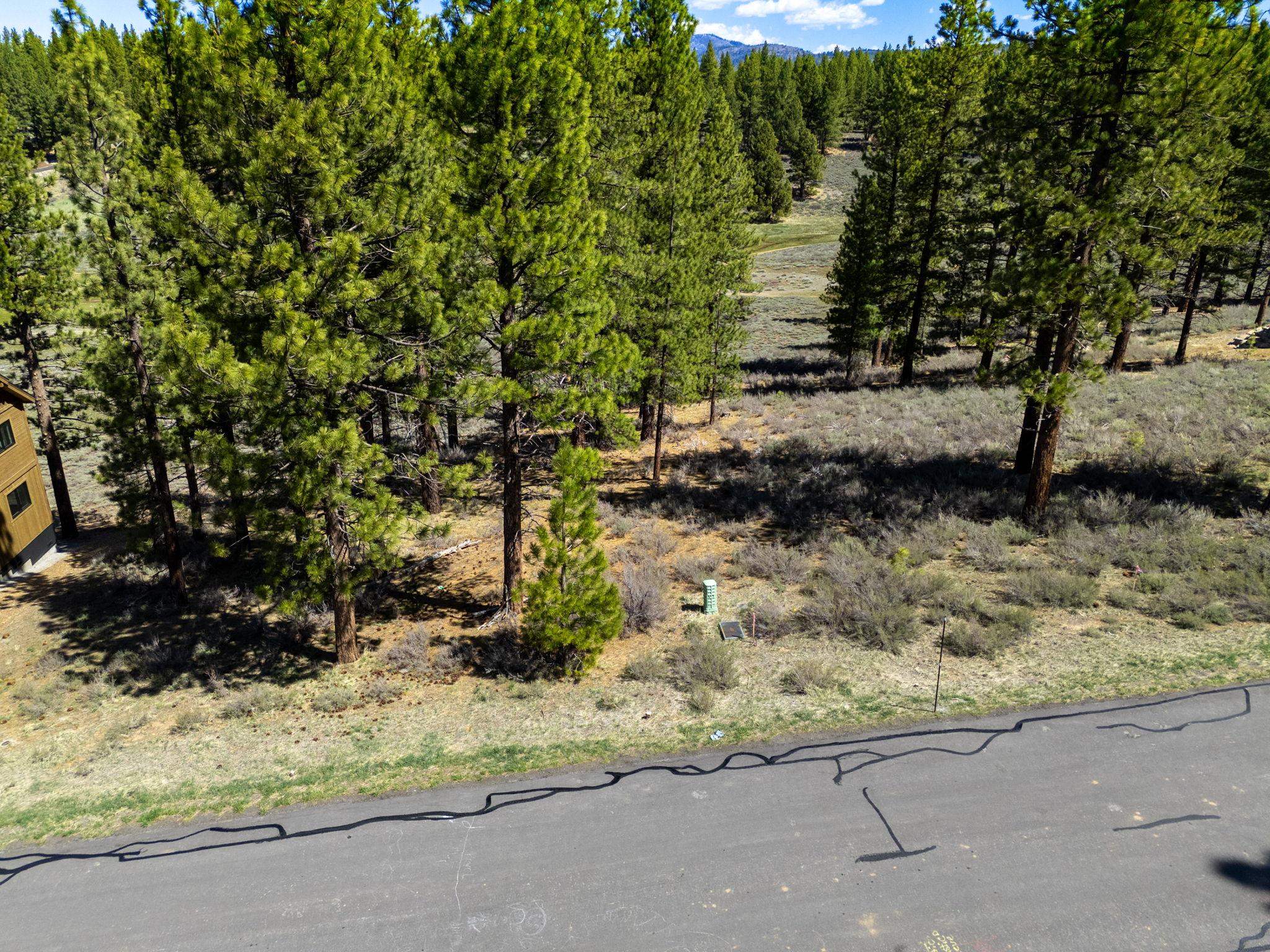 10668 Winchester Court