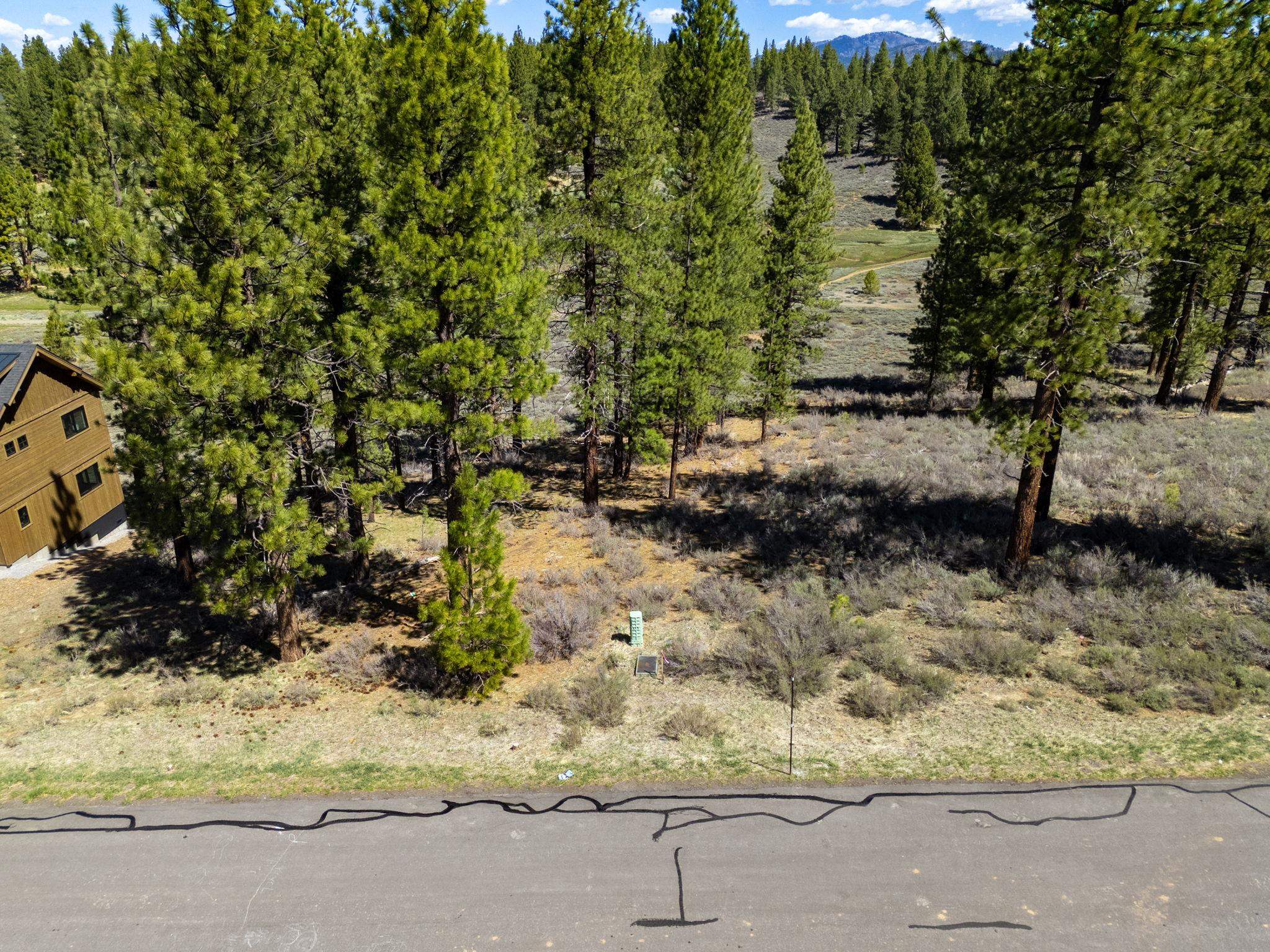 10668 Winchester Court