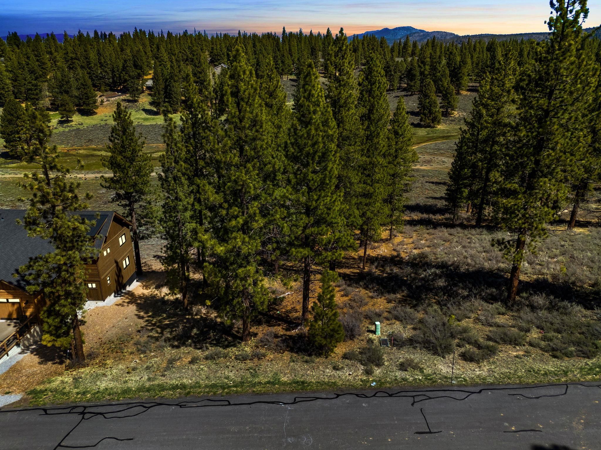 10668 Winchester Court