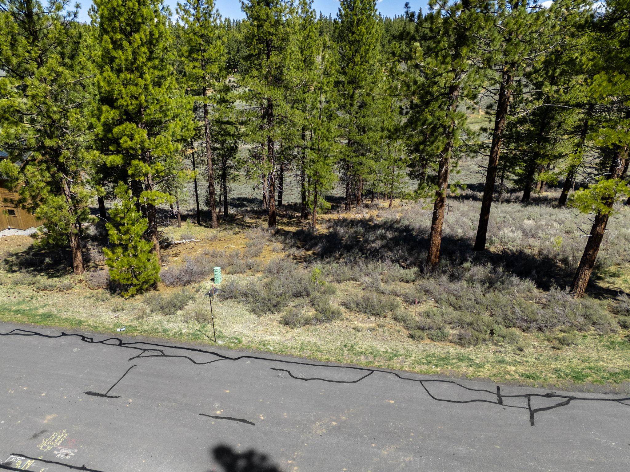 10668 Winchester Court