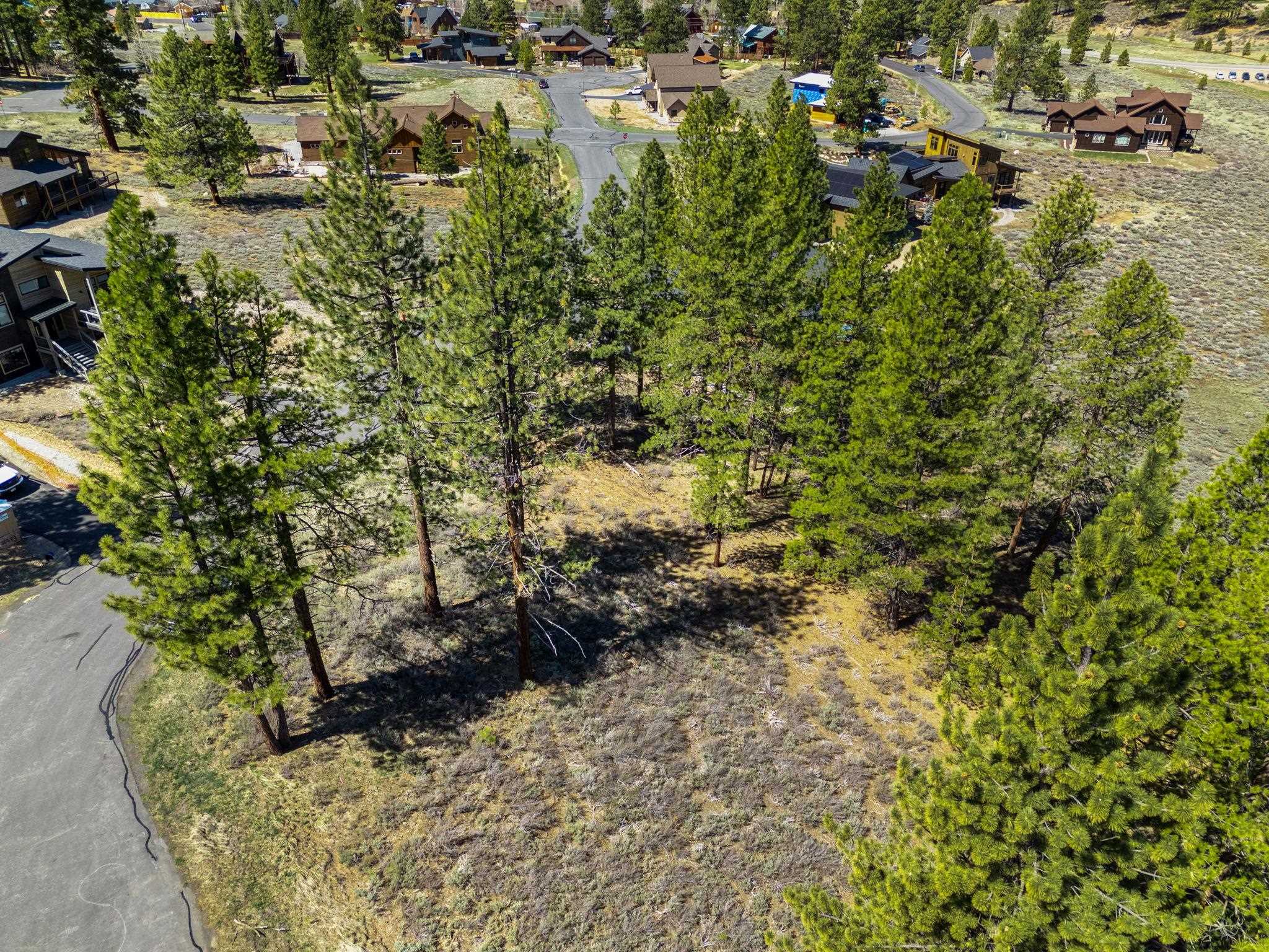 10668 Winchester Court