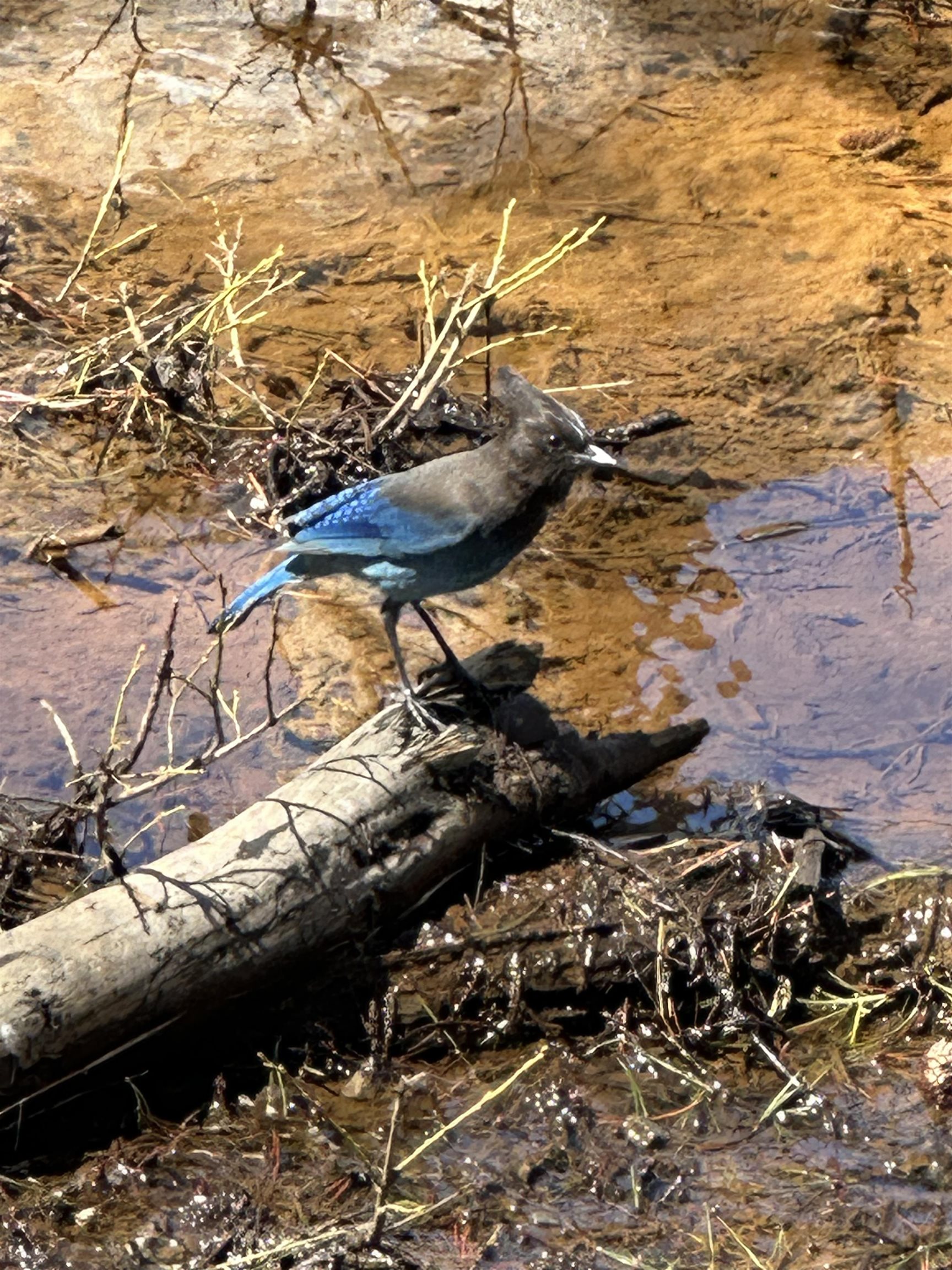 21932 and 21923 Yuba Trail