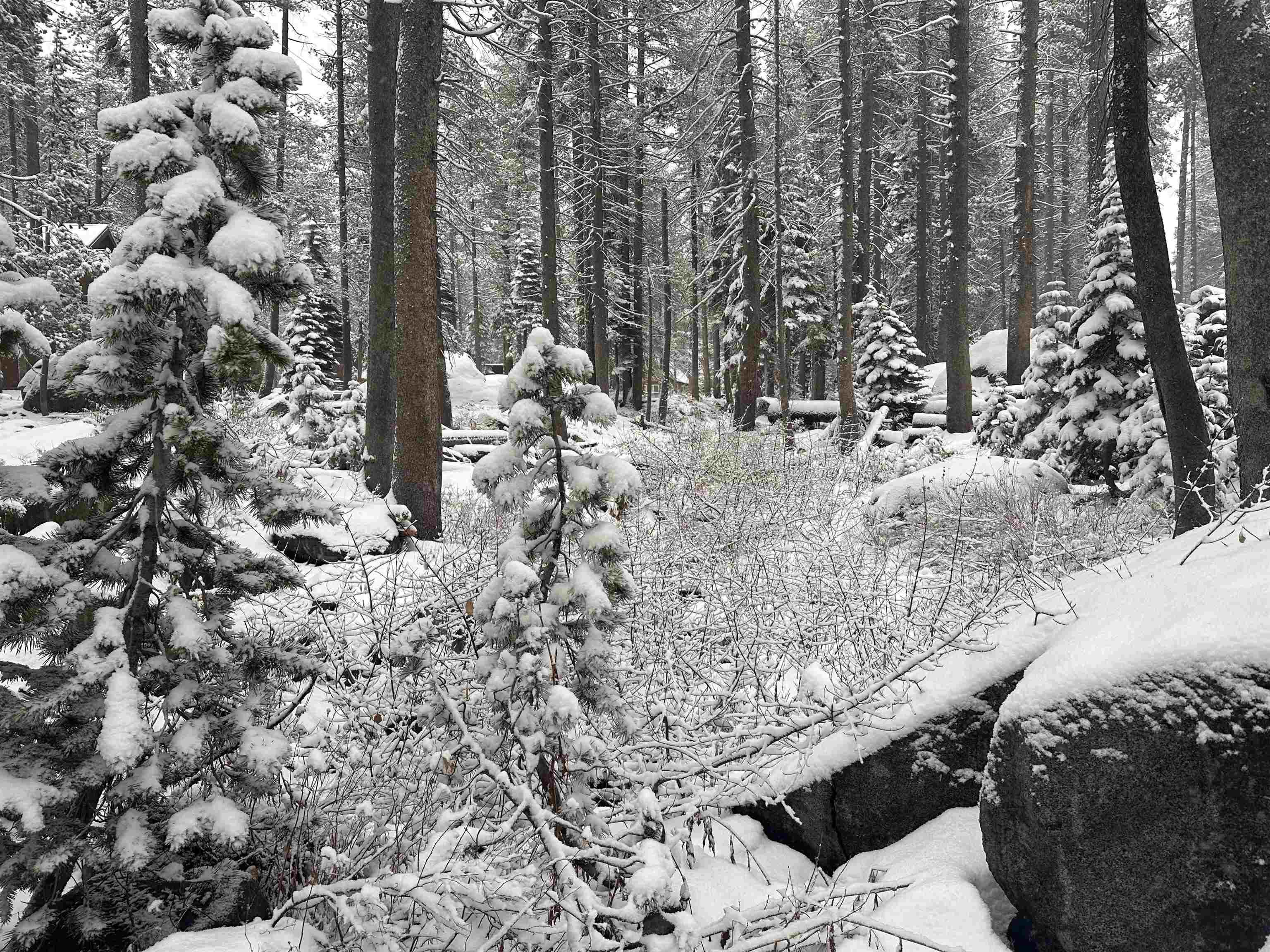 21932 and 21923 Yuba Trail