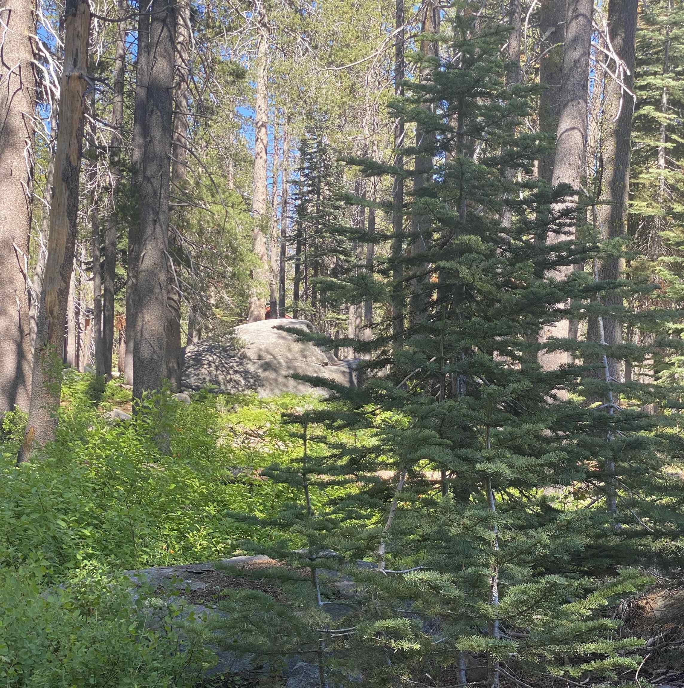 21932 and 21923 Yuba Trail