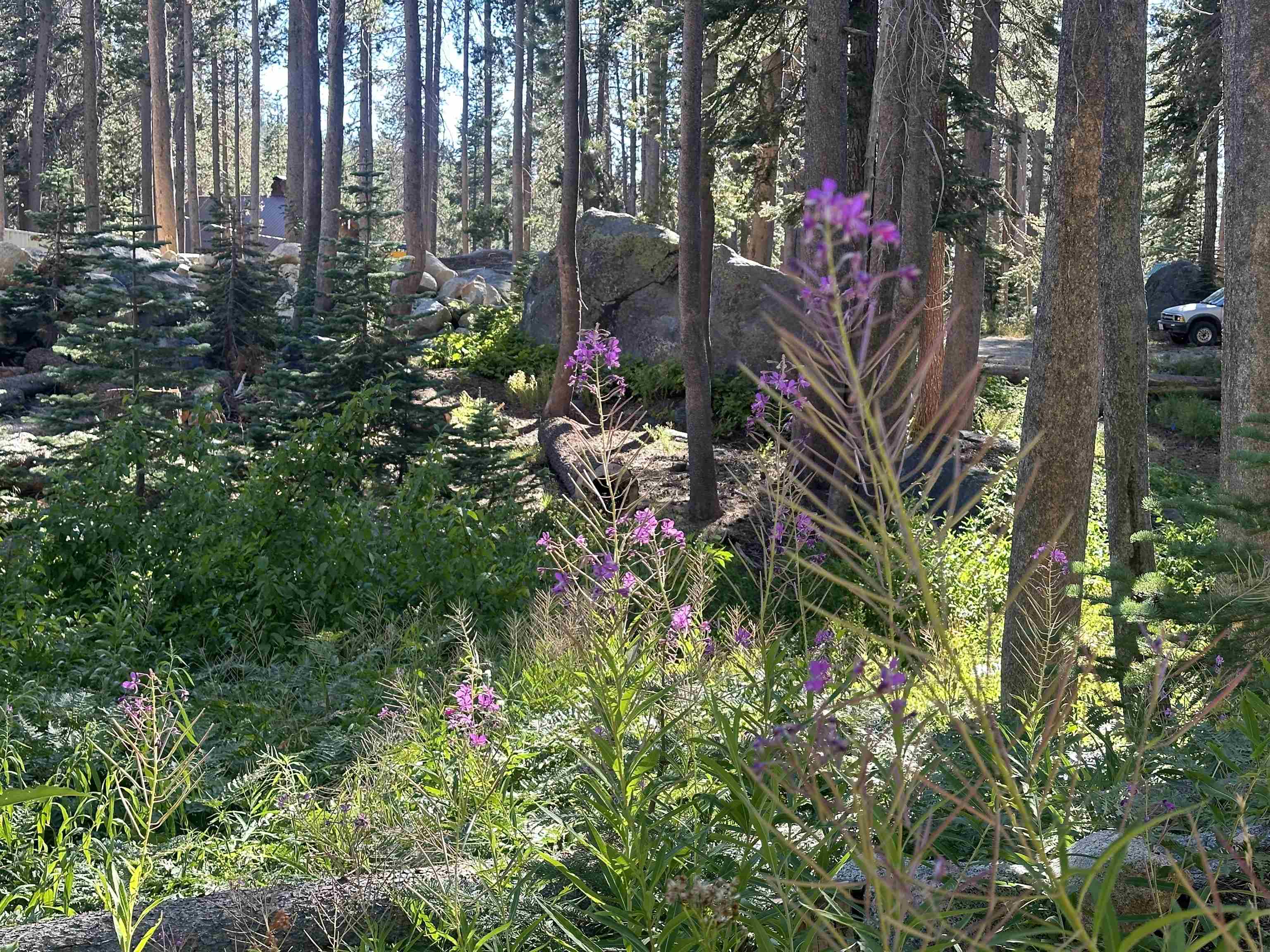 21932 and 21923 Yuba Trail