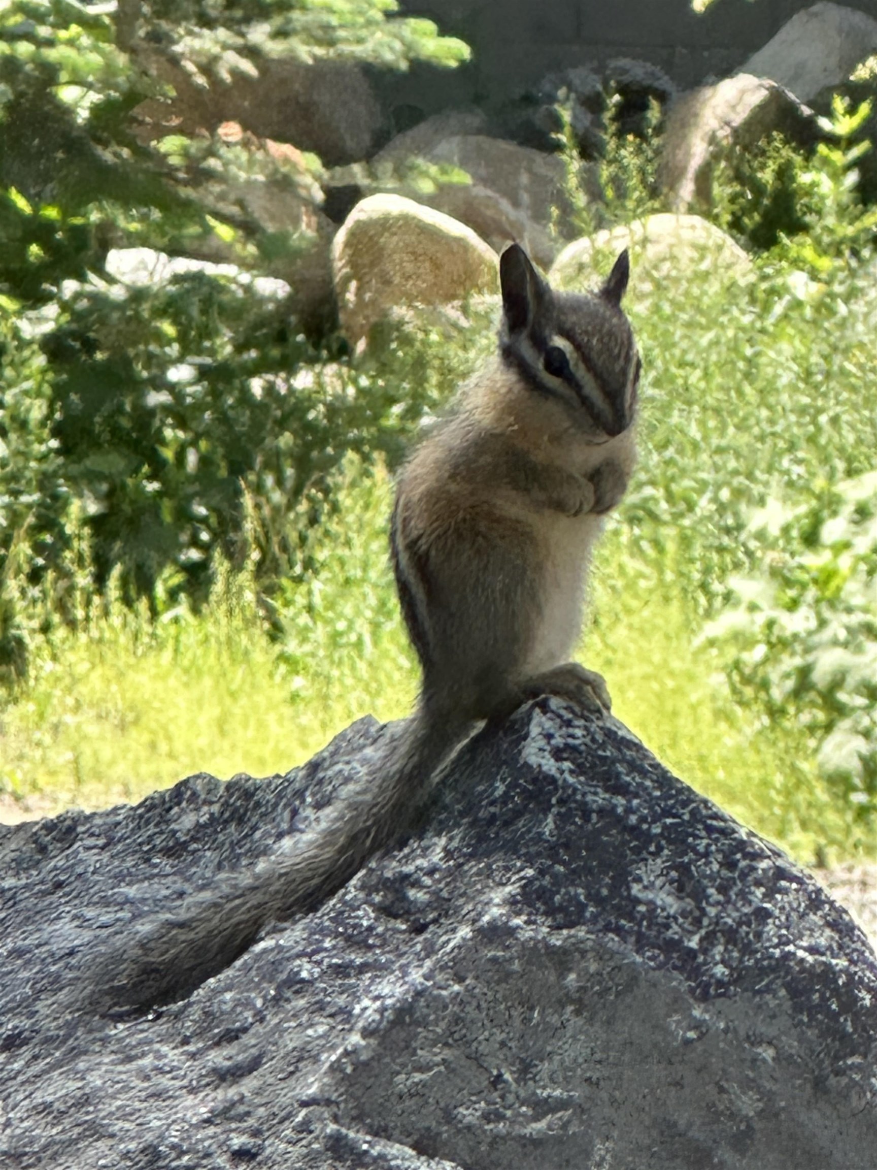 21932 and 21923 Yuba Trail