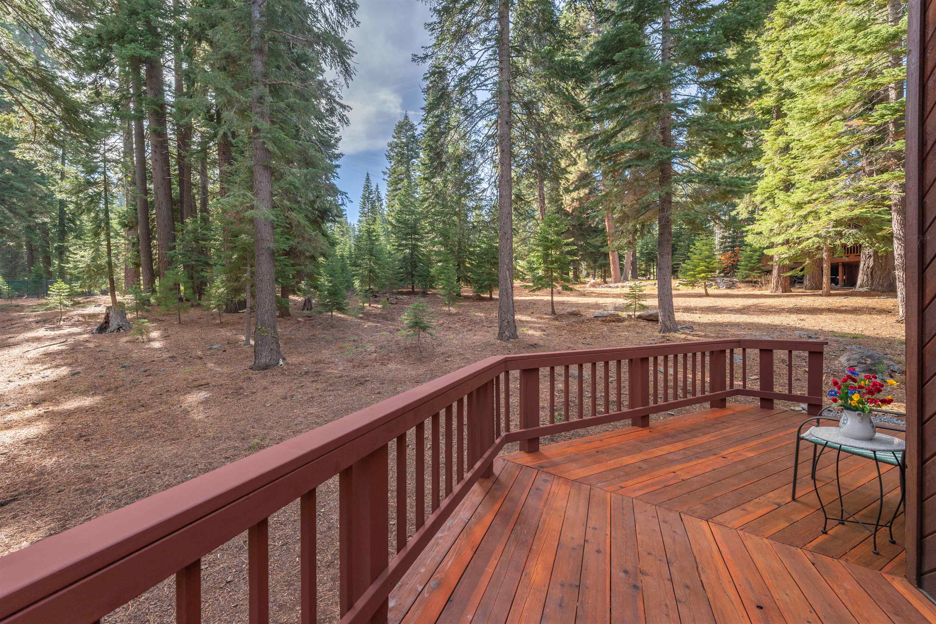 11151 Knotty Pine Drive