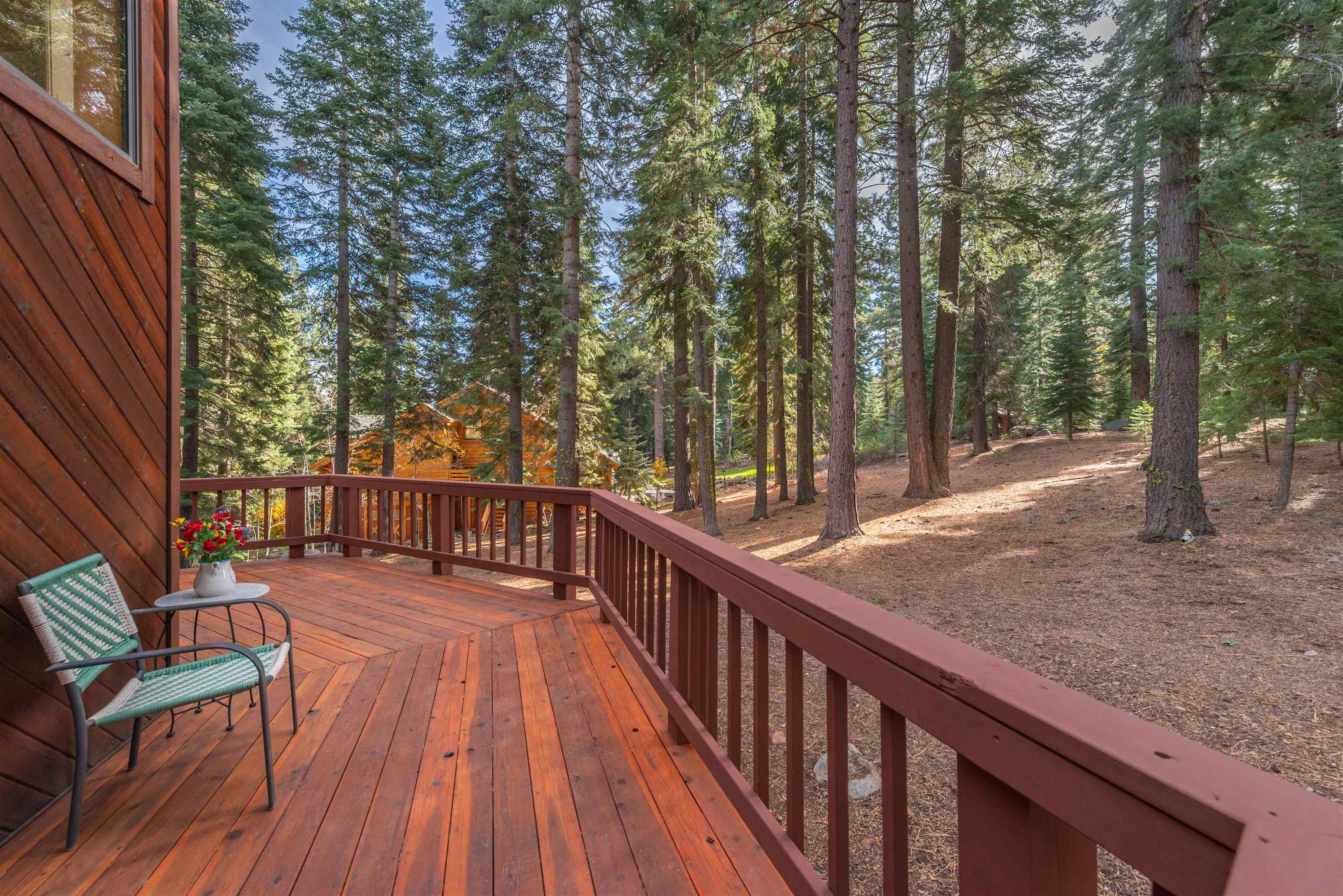 11151 Knotty Pine Drive