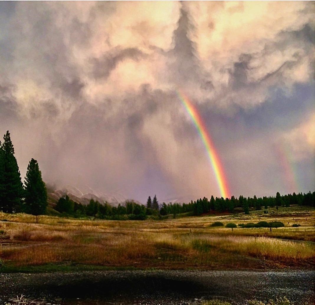 16527 Robertson Road